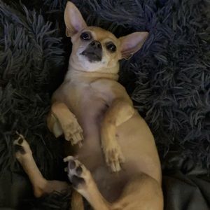 Meet your Posher, Malix